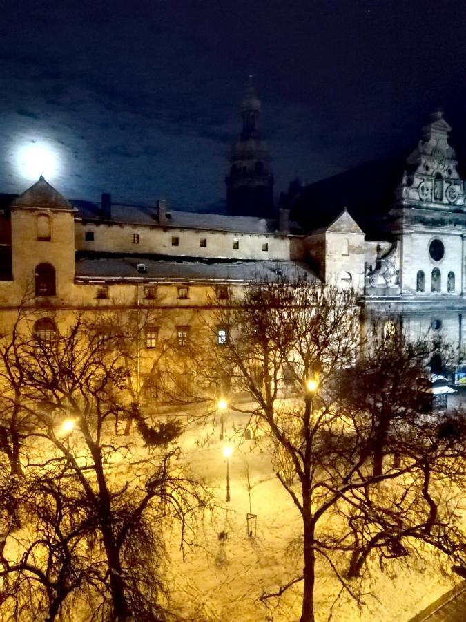 The Heart Of Lviv Daire Dış mekan fotoğraf