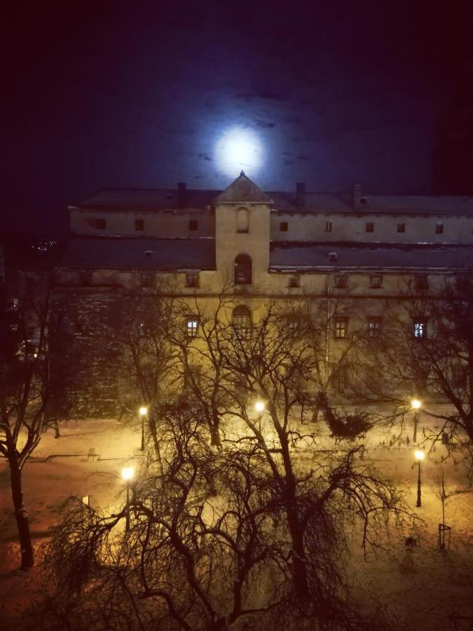 The Heart Of Lviv Daire Dış mekan fotoğraf