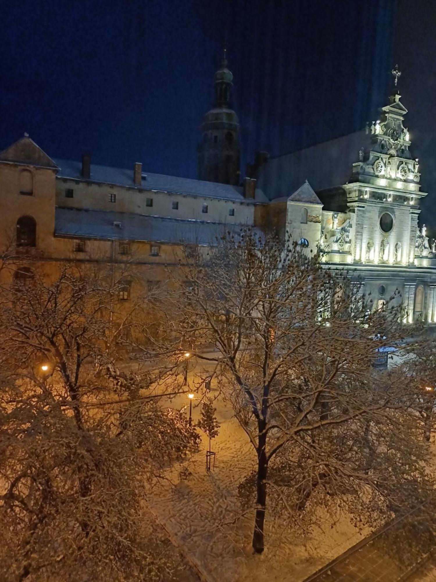 The Heart Of Lviv Daire Dış mekan fotoğraf